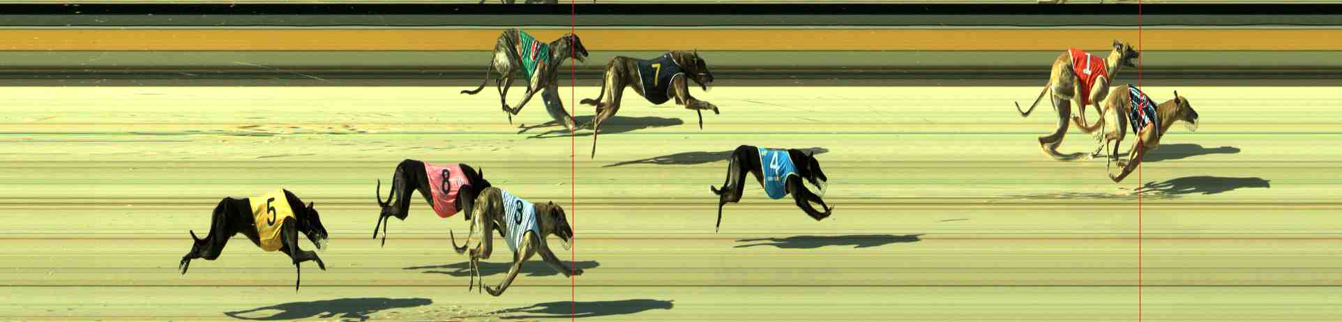Photo finish for Sale Race 2