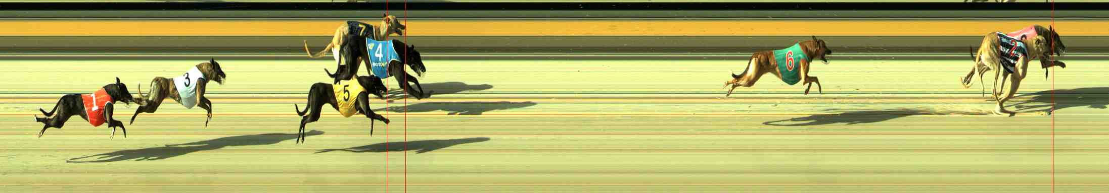 Photo finish for Sale Race 3