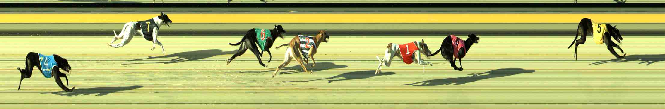 Photo finish for Sale Race 4
