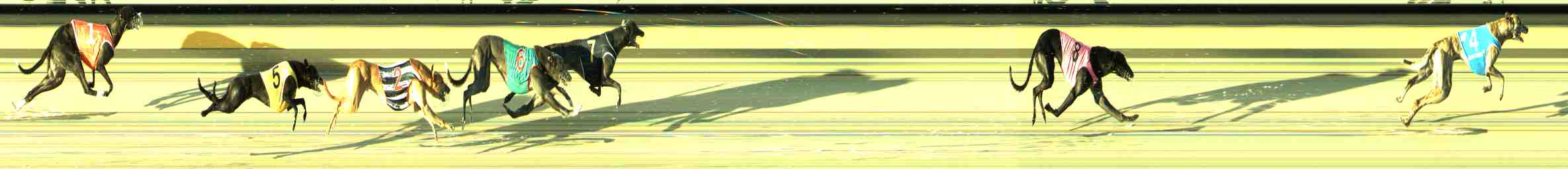 Photo finish for Sale Race 6
