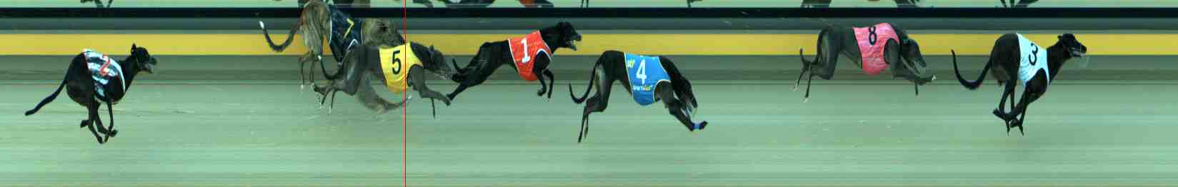Photo finish for Sale Race 7