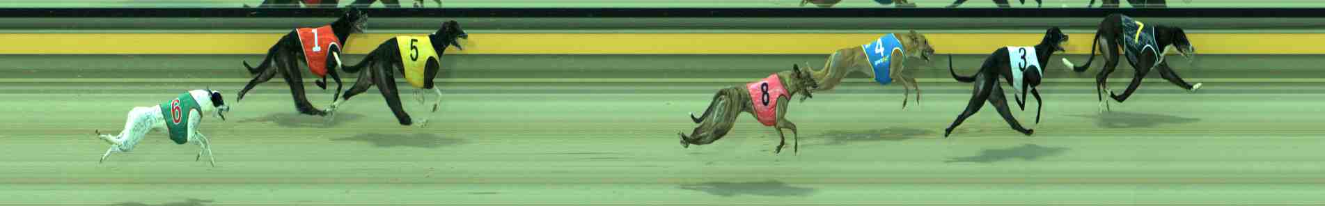 Photo finish for Sale Race 8