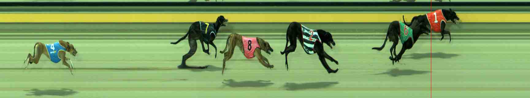Photo finish for Sale Race 9
