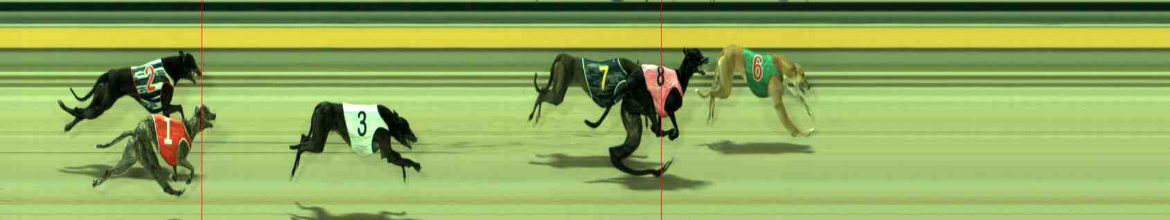Photo finish for Sale Race 10