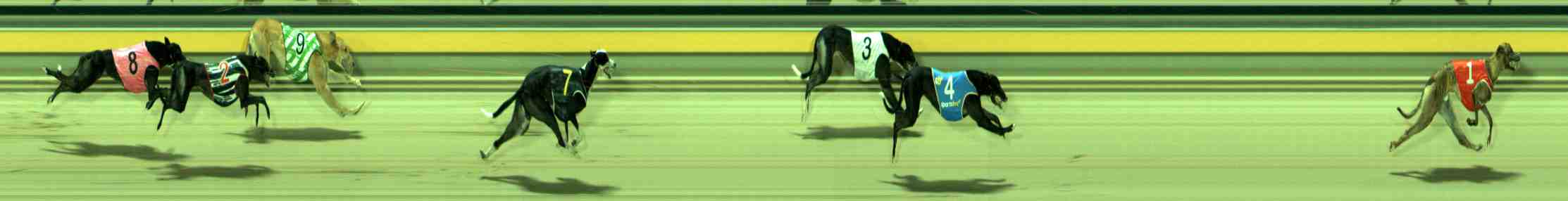 Photo finish for Sale Race 11