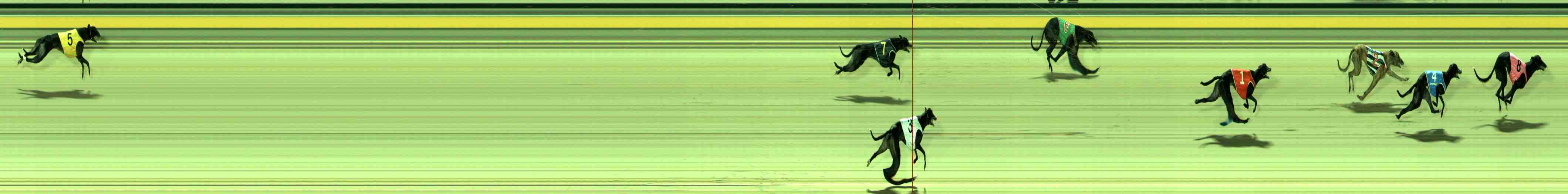 Photo finish for Sale Race 12