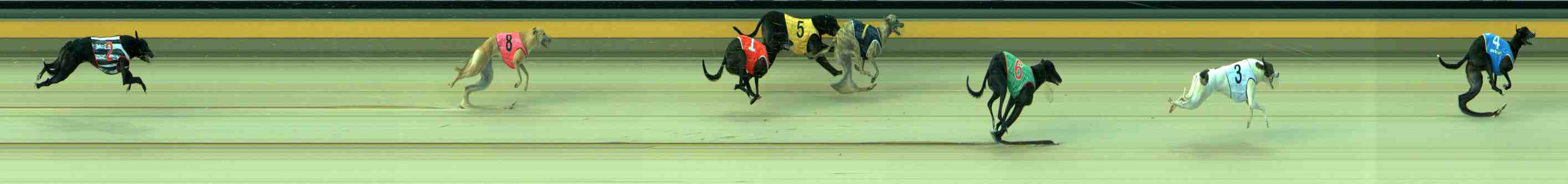 Photo finish for Sale Race 1