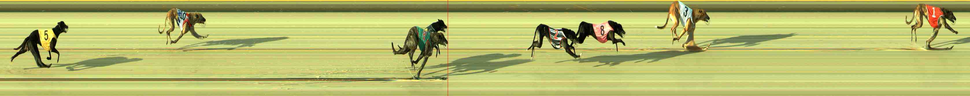Photo finish for Sale Race 2