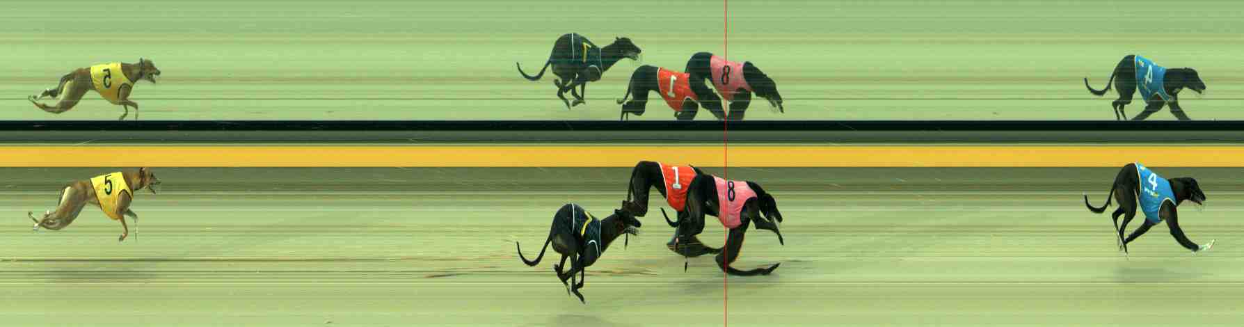 Photo finish for Sale Race 3