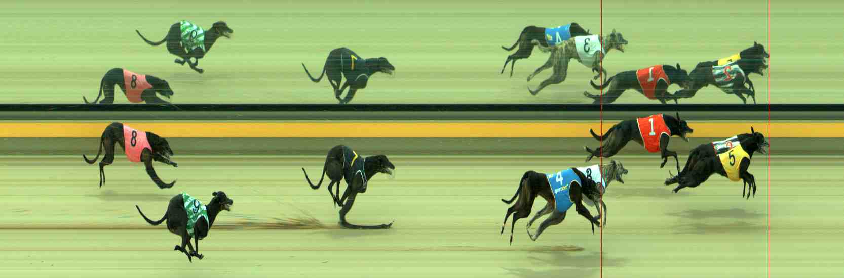 Photo finish for Sale Race 4