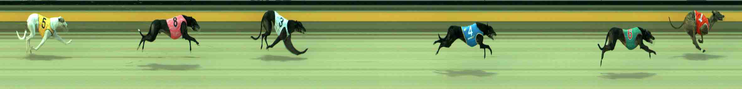 Photo finish for Sale Race 5