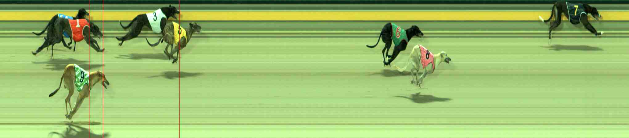 Photo finish for Sale Race 6