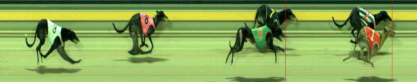 Photo finish for Sale Race 7