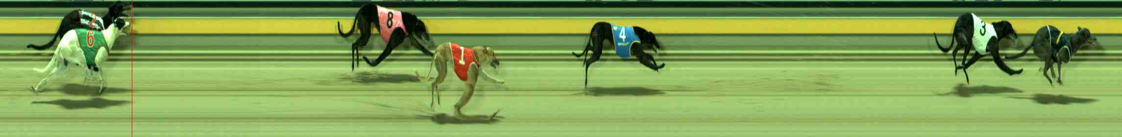 Photo finish for Sale Race 8