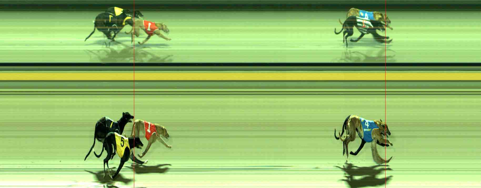 Photo finish for Sale Race 9