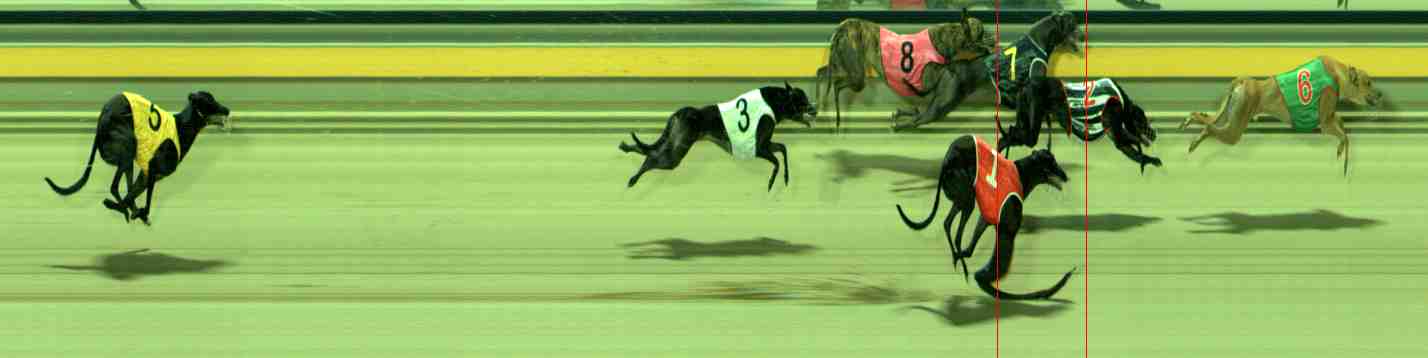 Photo finish for Sale Race 10