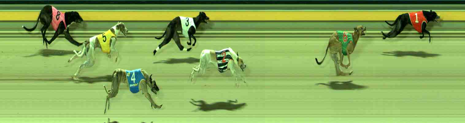 Photo finish for Sale Race 11