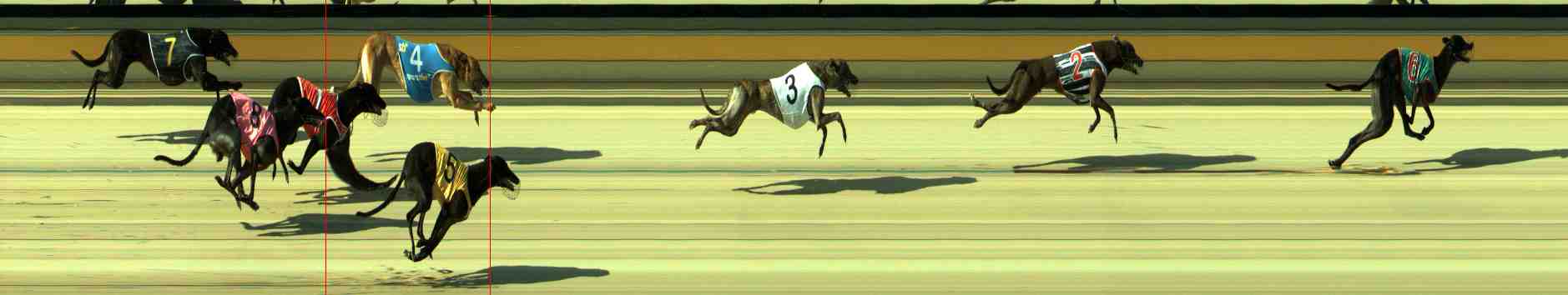 Photo finish for Sale Race 1