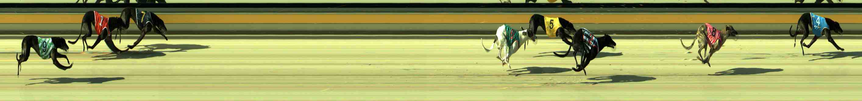 Photo finish for Sale Race 2