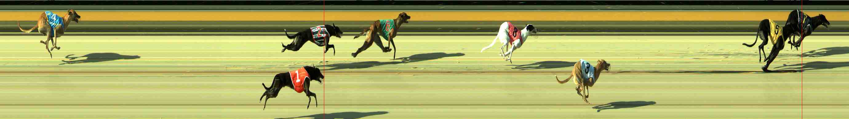 Photo finish for Sale Race 3