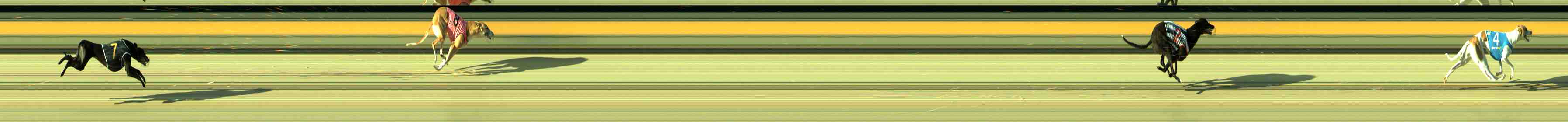 Photo finish for Sale Race 4