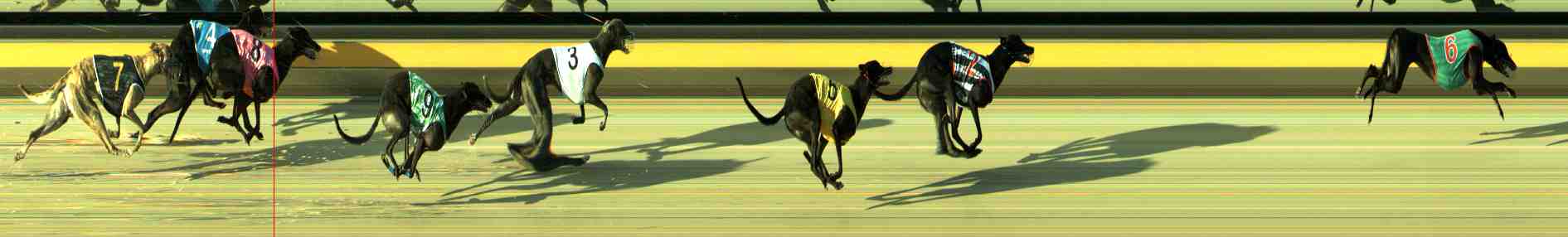 Photo finish for Sale Race 5