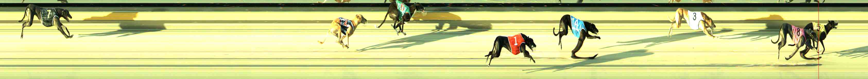 Photo finish for Sale Race 6