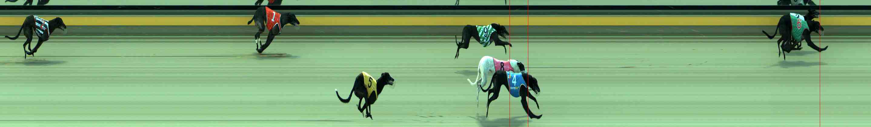 Photo finish for Sale Race 7