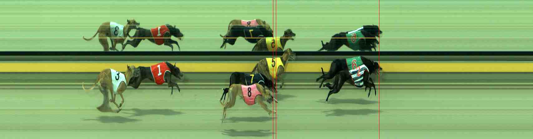 Photo finish for Sale Race 8