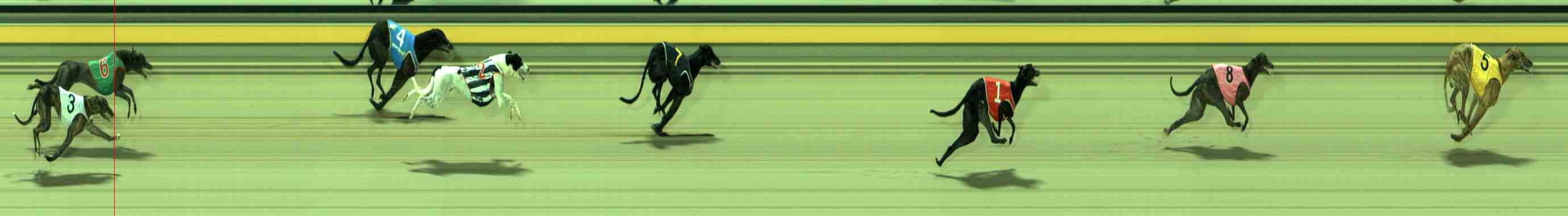 Photo finish for Sale Race 9