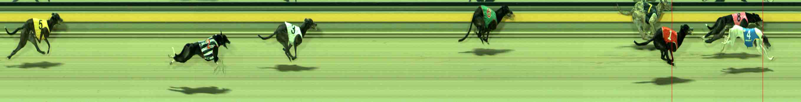 Photo finish for Sale Race 10