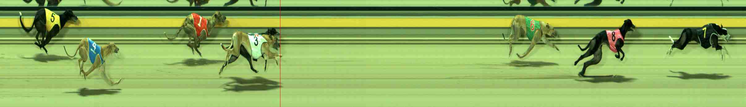 Photo finish for Sale Race 11