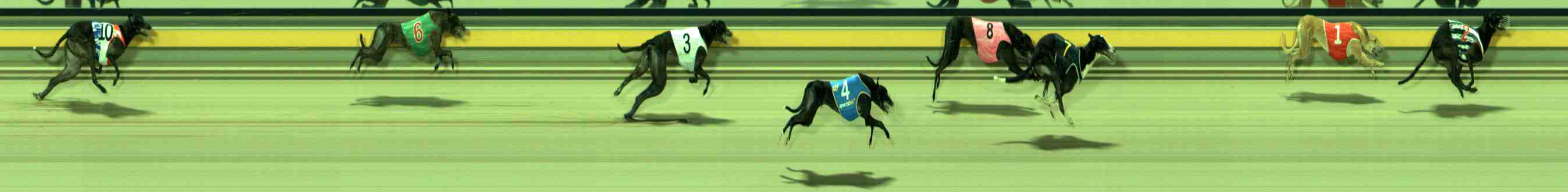 Photo finish for Sale Race 12