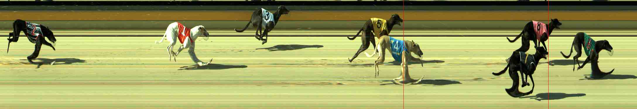 Photo finish for Sale Race 2
