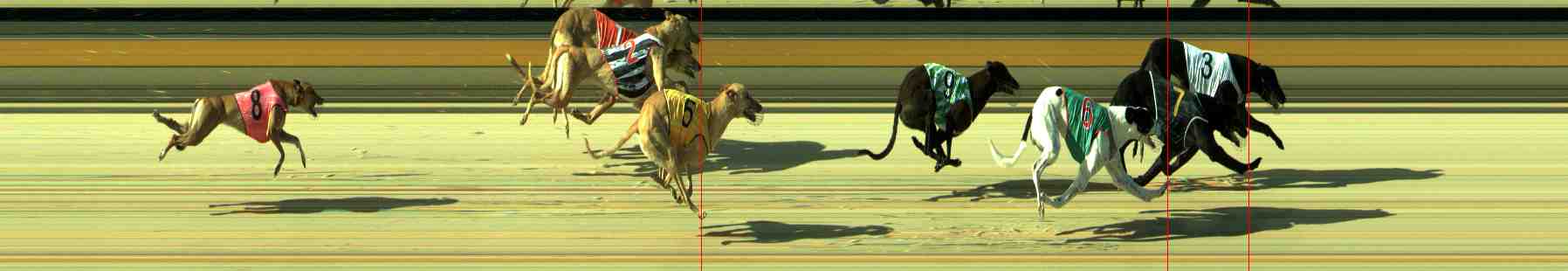 Photo finish for Sale Race 3
