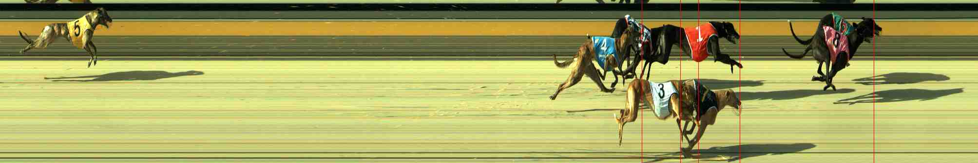 Photo finish for Sale Race 4