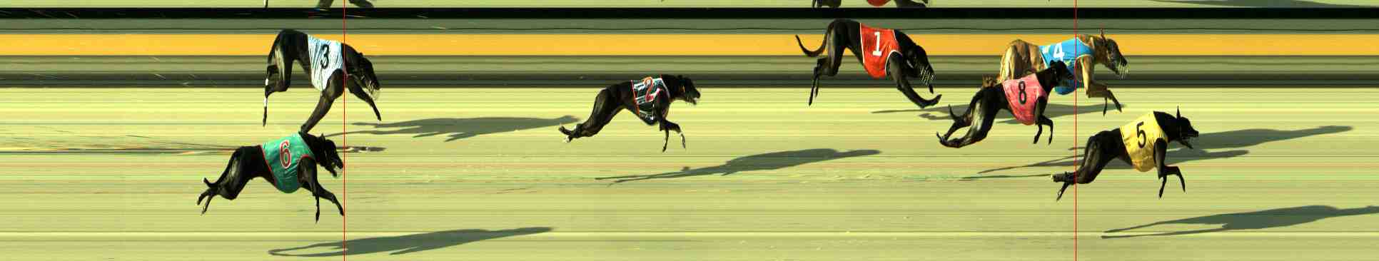 Photo finish for Sale Race 5