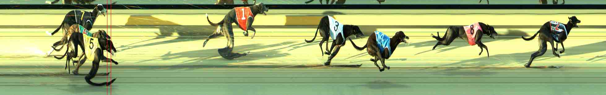 Photo finish for Sale Race 7