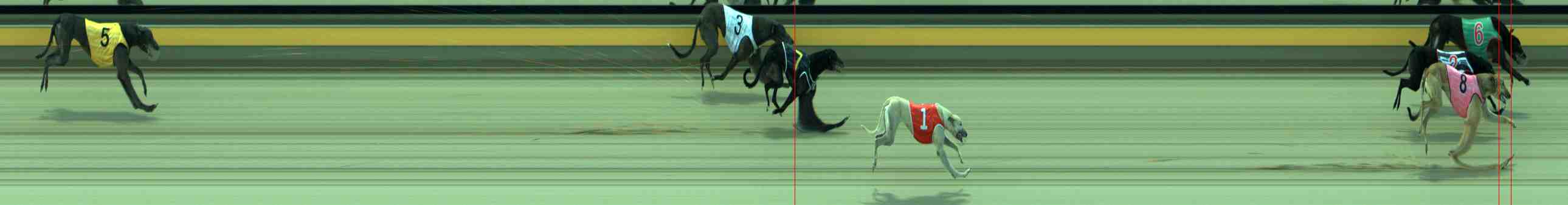 Photo finish for Sale Race 8
