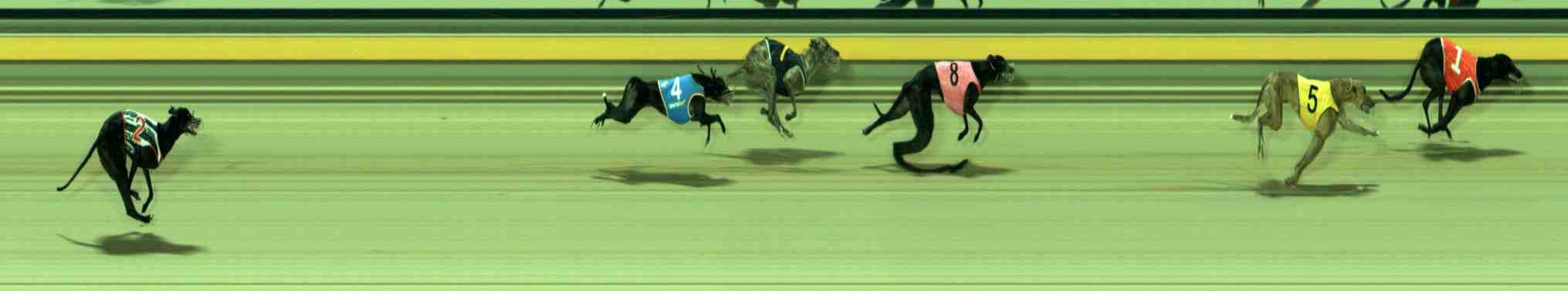 Photo finish for Sale Race 10
