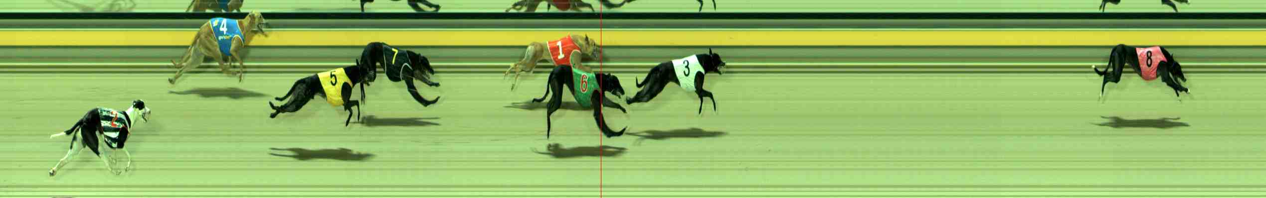 Photo finish for Sale Race 11