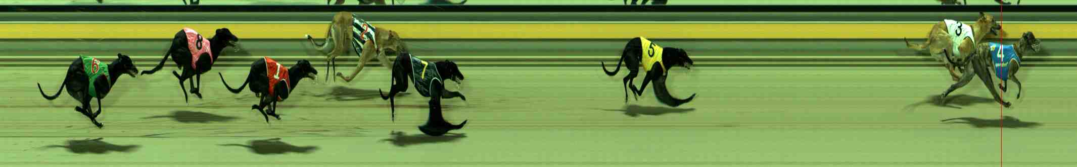 Photo finish for Sale Race 12