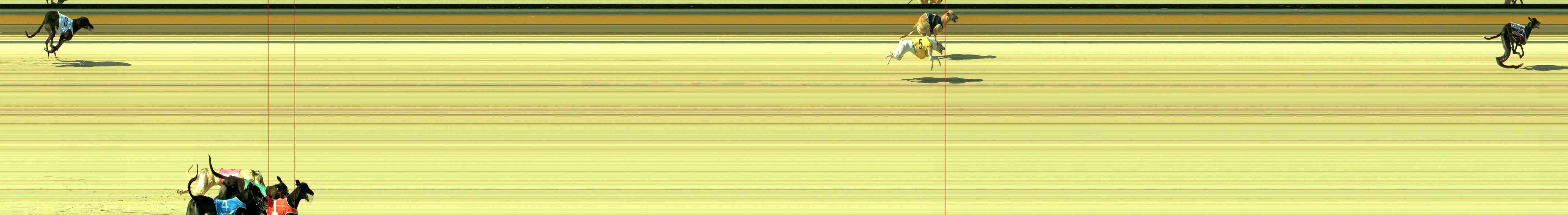 Photo finish for Sale Race 1