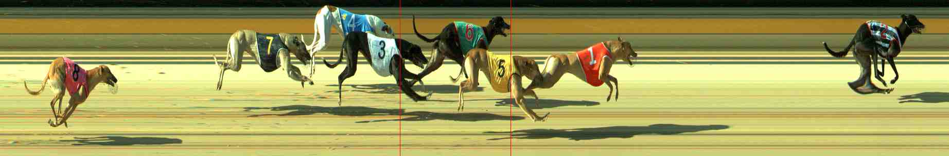 Photo finish for Sale Race 2
