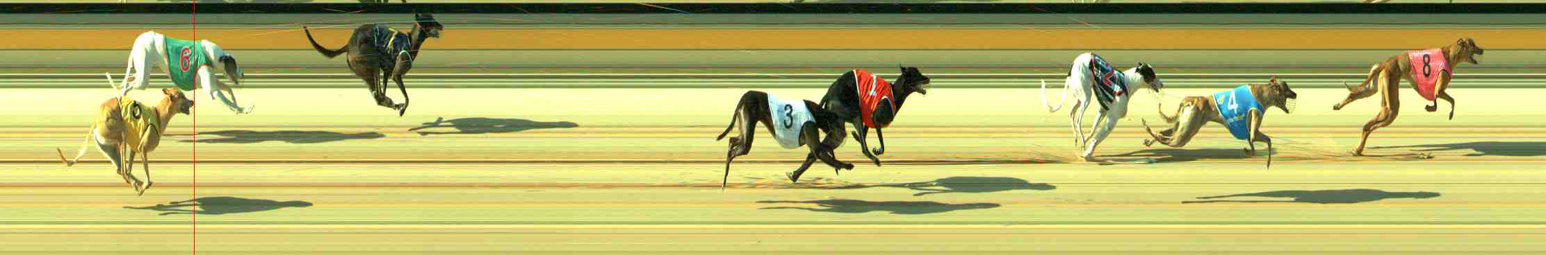Photo finish for Sale Race 3