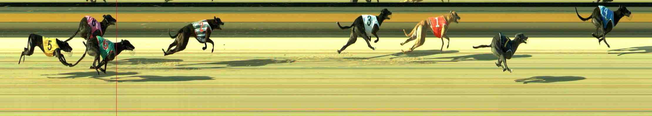 Photo finish for Sale Race 4