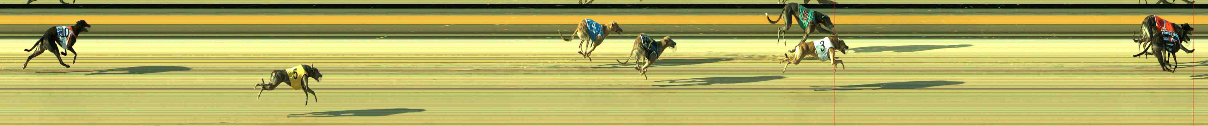 Photo finish for Sale Race 5