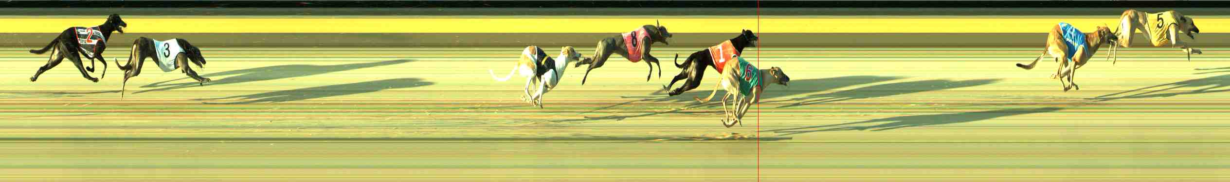 Photo finish for Sale Race 6