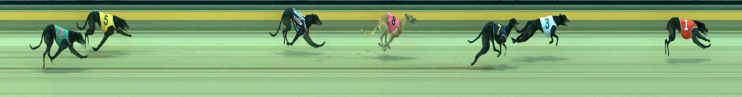 Photo finish for Sale Race 7