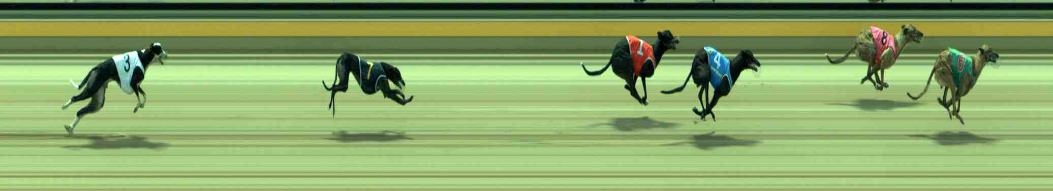 Photo finish for Sale Race 8